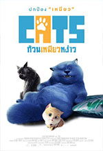 Cats
