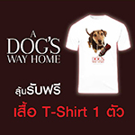 บอกเล่าความประทับใจในภาพยนตร์ เรื่อง A DOG'S  WAY HOME